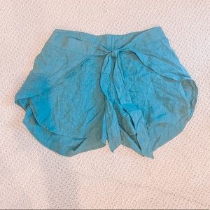 NWT patagonia paper bag shorts